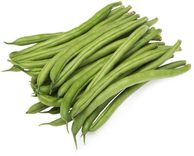 Fresh beans, for Cooking, Color : Light Green