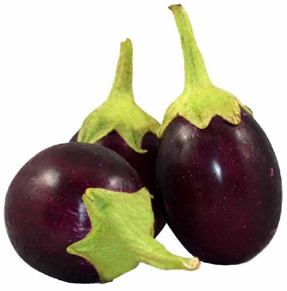 Round Organic Fresh Brinjal, for Cooking, Certification : FSSAI Certified