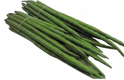 Organic Fresh Drumsticks, Color : Green