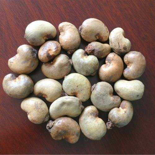 Organic raw cashew nuts, Certification : FSSAI Certified