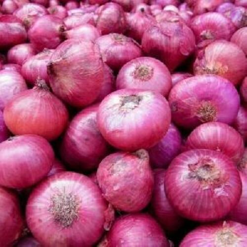 Round Organic Fresh Pink Onion, for Cooking, Style : Natural