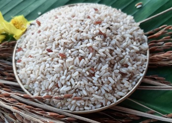 Hard Organic Ratnachodi Rice, Shelf Life : 1Year