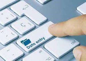 Data Entry Work Services