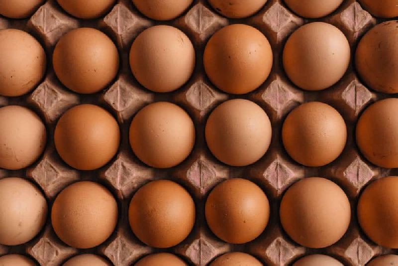 organic farm fresh eggs