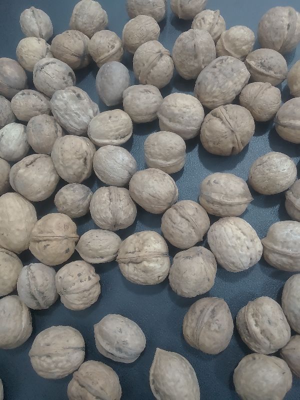 Fashion Areena in Nagpur Manufacturer of Kashmiri Walnuts