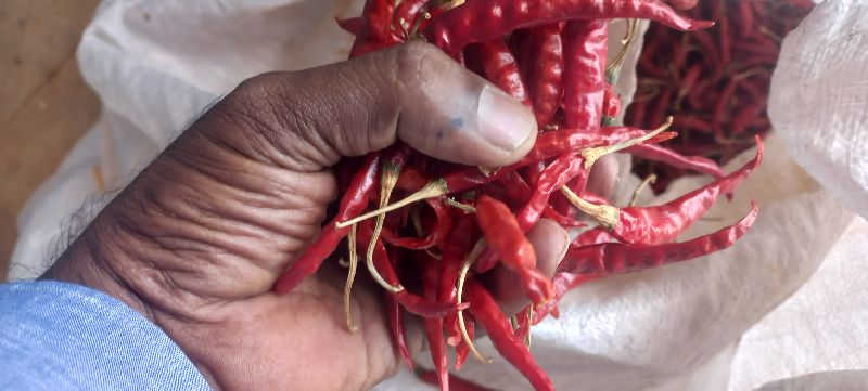 Raw Natural Stemless dry red chilli, for Spices, Certification : FSSAI Certified