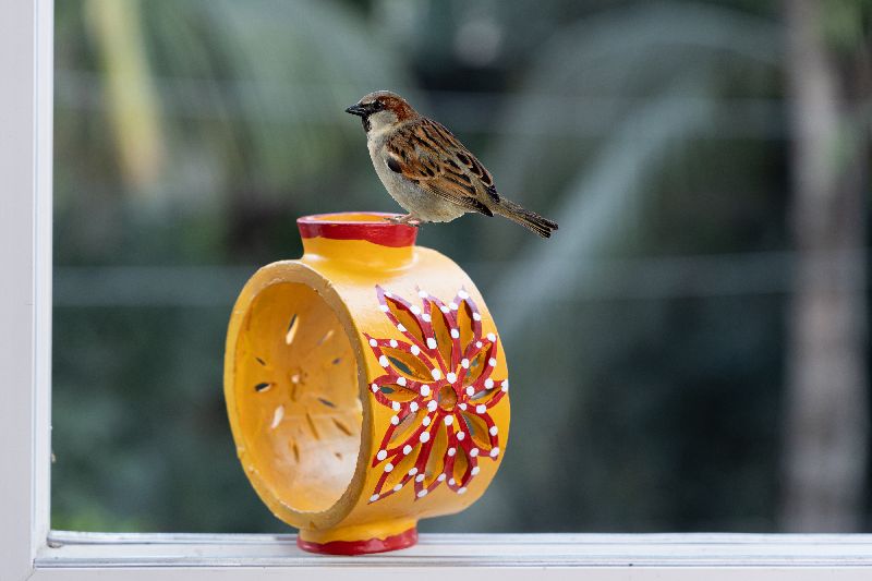 Wheel Throwing Bird Feeder Home Stay