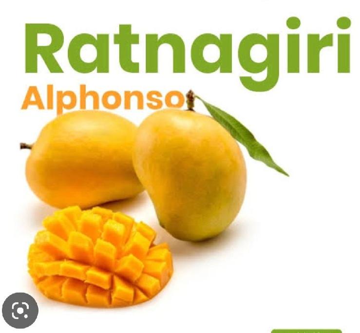 Common Ratnagiri Alphonso Mango, for Direct Consumption, Taste ...