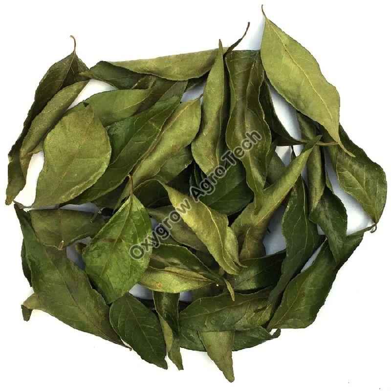 Dried Curry Leaves, for Cooking, Certification : FSSAI Certified