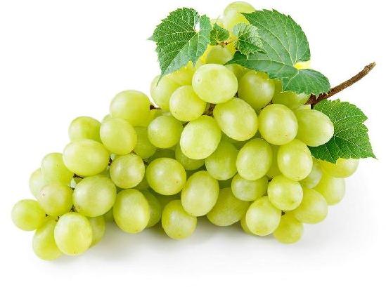 fresh green grapes