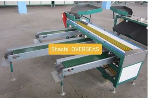 Stainless Steel Automatic Chiku Grading Machine, Voltage : 220V