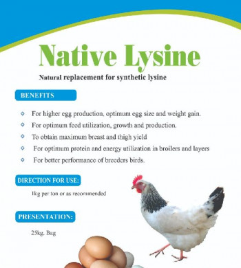 Native lysine