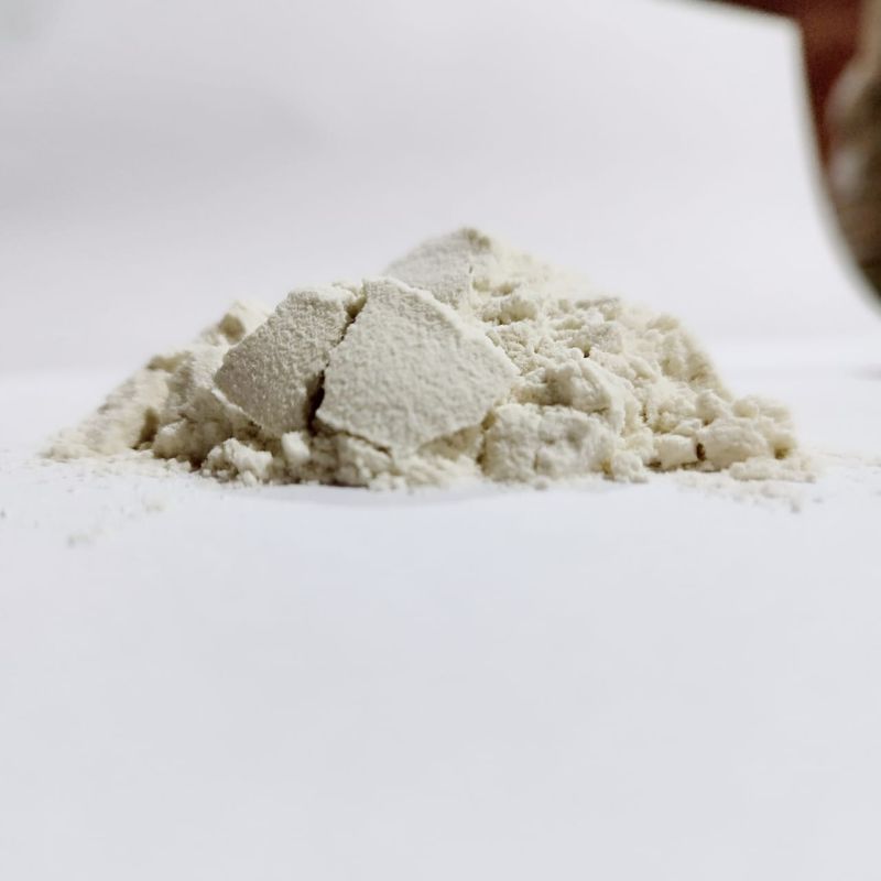 Xanthan Gum Food Grade Powder, 25 kg, Packaging Type: Bag at Rs