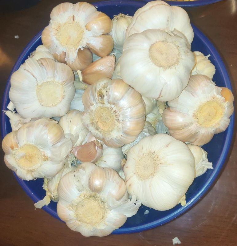 fresh garlic