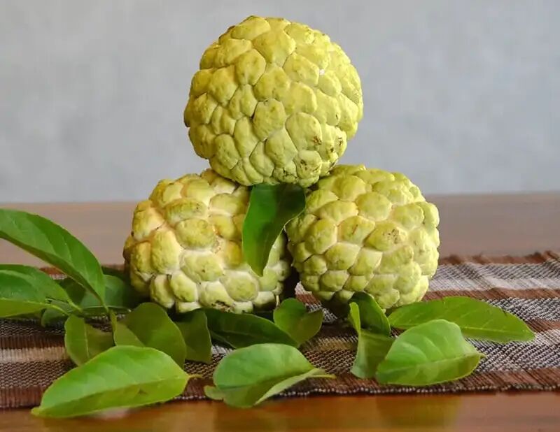 Custard Apple