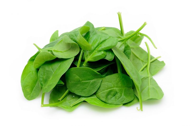 Fresh Spinach