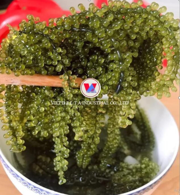 Dehydrate Sea Grapes