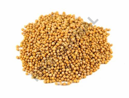 Mustard seeds, Packaging Size : 25 Kg