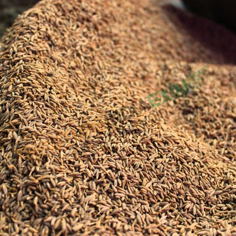 Raw Natural cumin seed, for Cooking Spices, Certification : FSSAI Certified