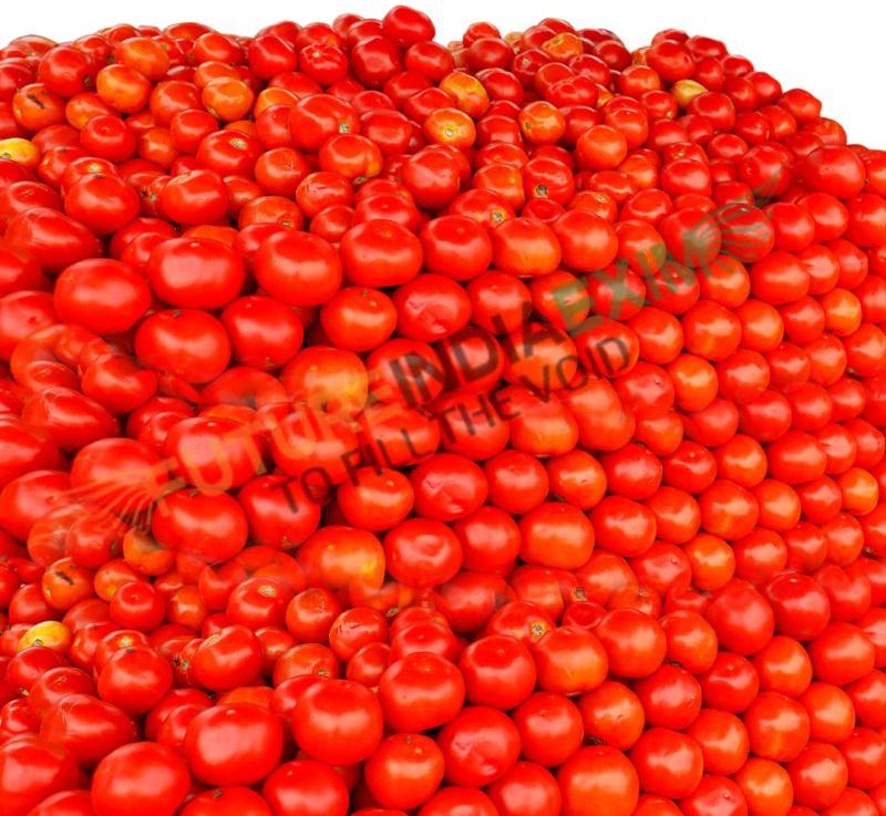 Natural Fresh Red Tomato, for Cooking, Packaging Type : Plastic Crates