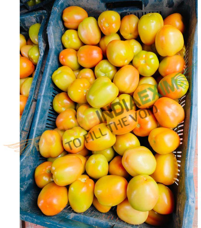 Fresh Yellow Tomato