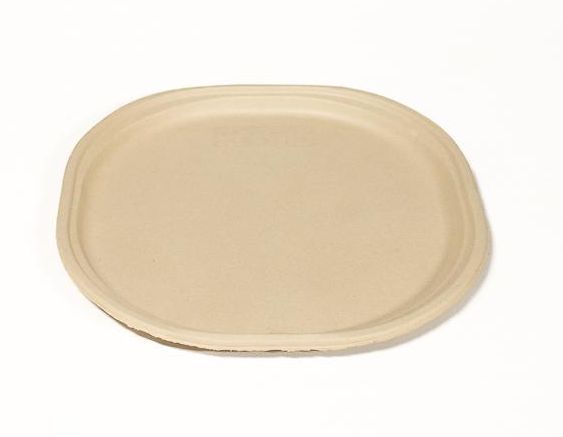 9 Inch Bagasse Plate
