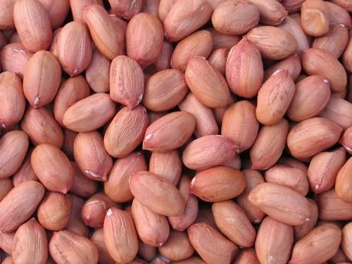 Natural Groundnut Seeds, for Human Consumption, Packaging Type : Plastic Packets