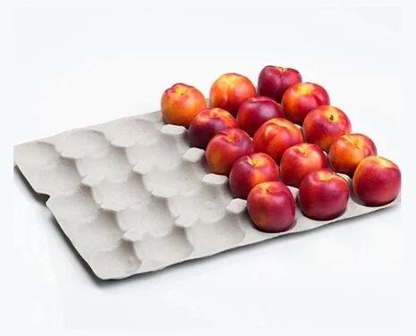 Paper Pulp Moulded Apple Tray, Packaging Type : Poly Bag
