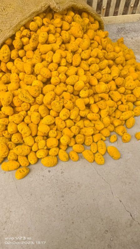 Yellow Double Polished Turmeric Bulb