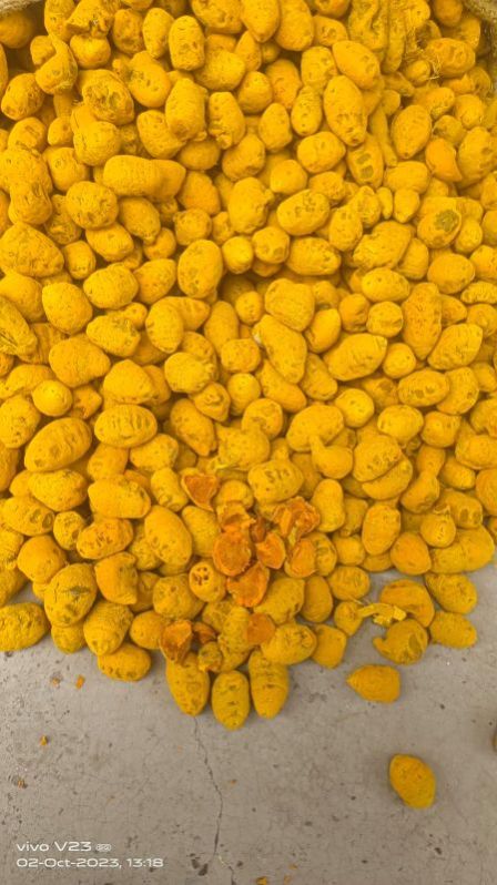 Yellow Double Polished Turmeric Bulb