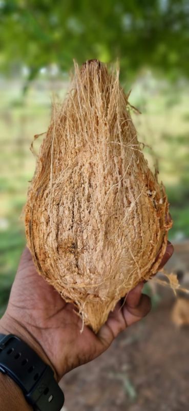 Soft Semi Husked Coconuts, for Pooja, Medicines, Cosmetics