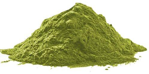 Green Ane Organic Moringa Leaves Powder, For Medicines Products, Shelf Life : 24 Months