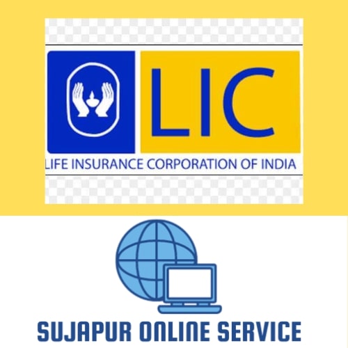 LIC Policy Submission