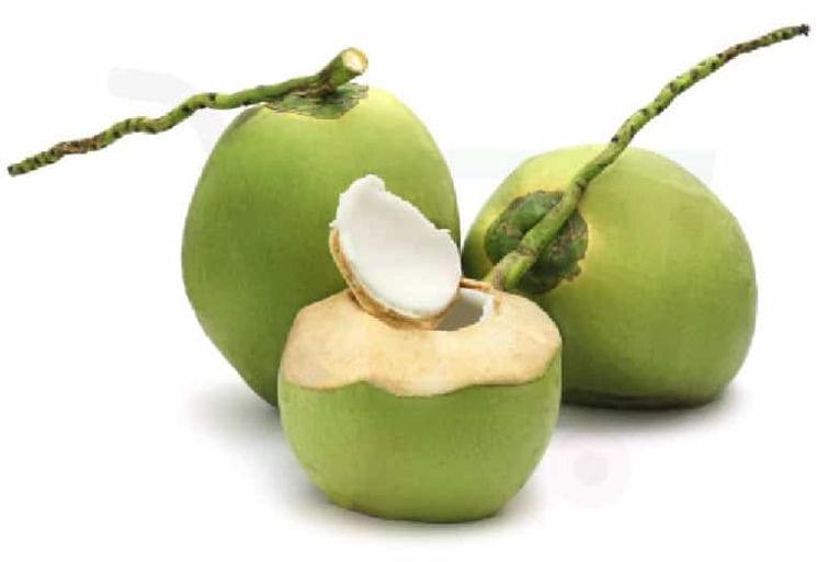 Green Hard Organic Tender Coconut