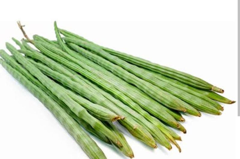 Green Organic Fresh Drumsticks, For Cooking, Packaging Type : Carton