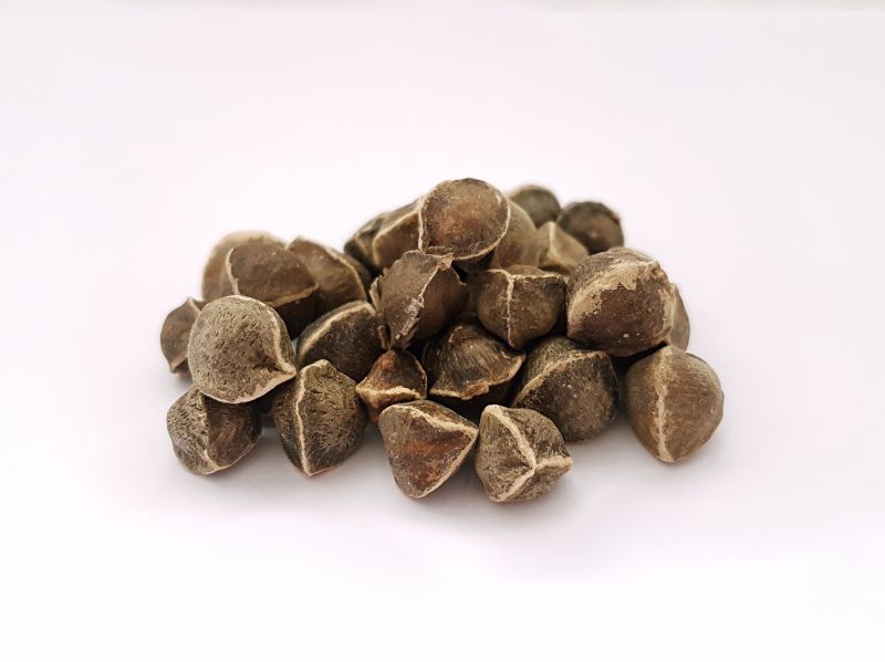 Raw Organic Moringa Seeds, Purity : 100%
