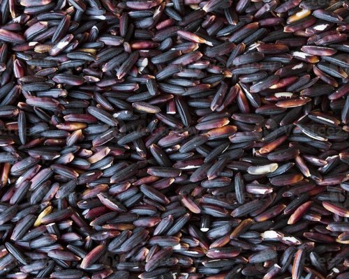 Indian Soft Organic black rice, for Cooking, Shelf Life : 1year