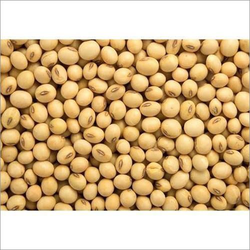 Organic soya bean seeds, for Animal Feed, Beverage Drinks, Cooking, Flour, Human Consumption, Style : Dried