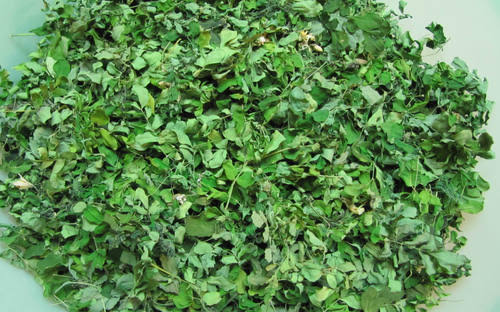 Green Natural Dried Moringa Leaves, for Medicine, Cosmetics, Packaging Type : Packet