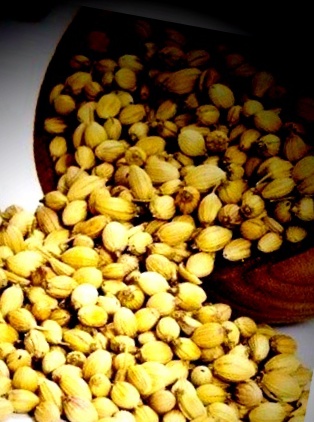 Dried Organic Coriander Seed, for Cooking, Color : Light Brown