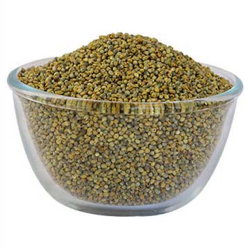 Pearl Millet