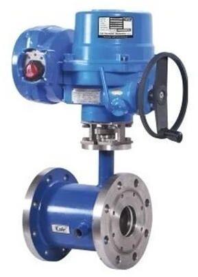 Steam Control Valve