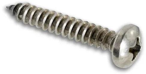 Silver Stainless Steel Screw