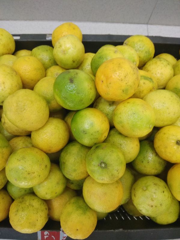 Natural kachai lemon fruits, Feature : Safe Packaging, Non Harmful