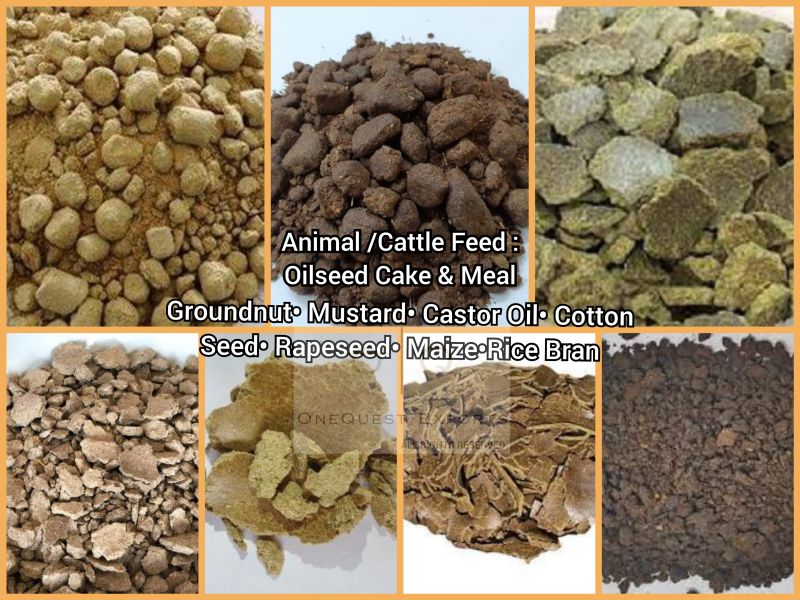 animal feed