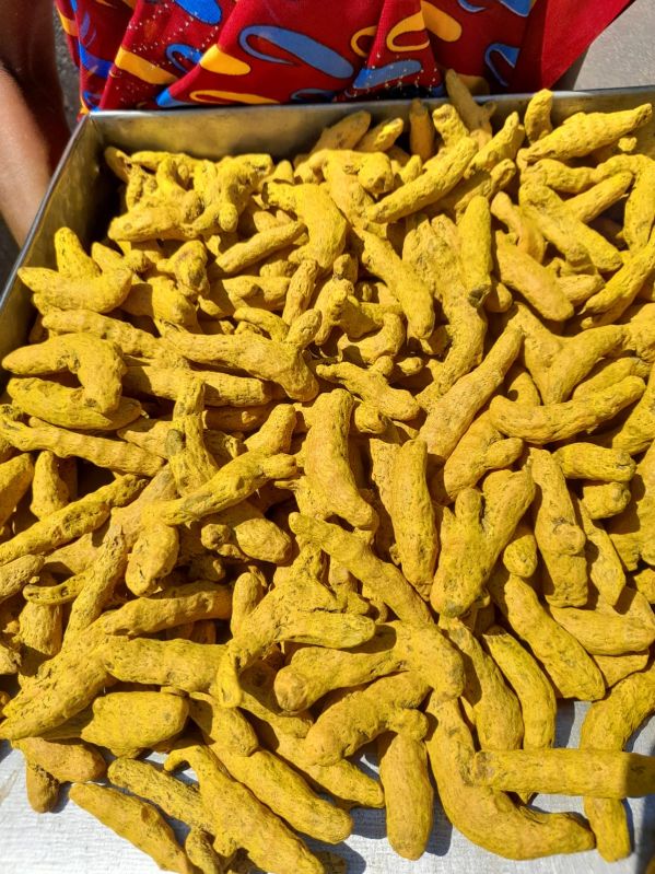 Turmeric Bulb, for Spices, Packaging Size : 50gm