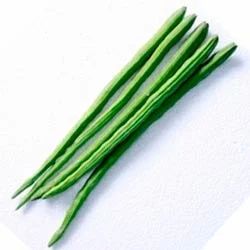 Green Natural Indian Drumstick, for Cooking, Style : Fresh