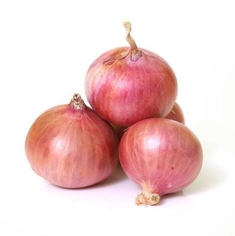 Natural Pink Onion, for Cooking, Packaging Type : Gunny Bag