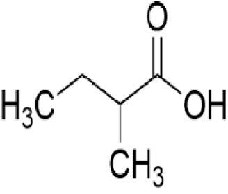 2 Methyl Butyric Acid