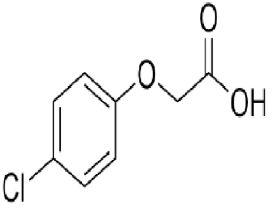 Seema biotech P-CHLORO PHENOXY ACETIC ACID, CAS No. : 122-88-3
